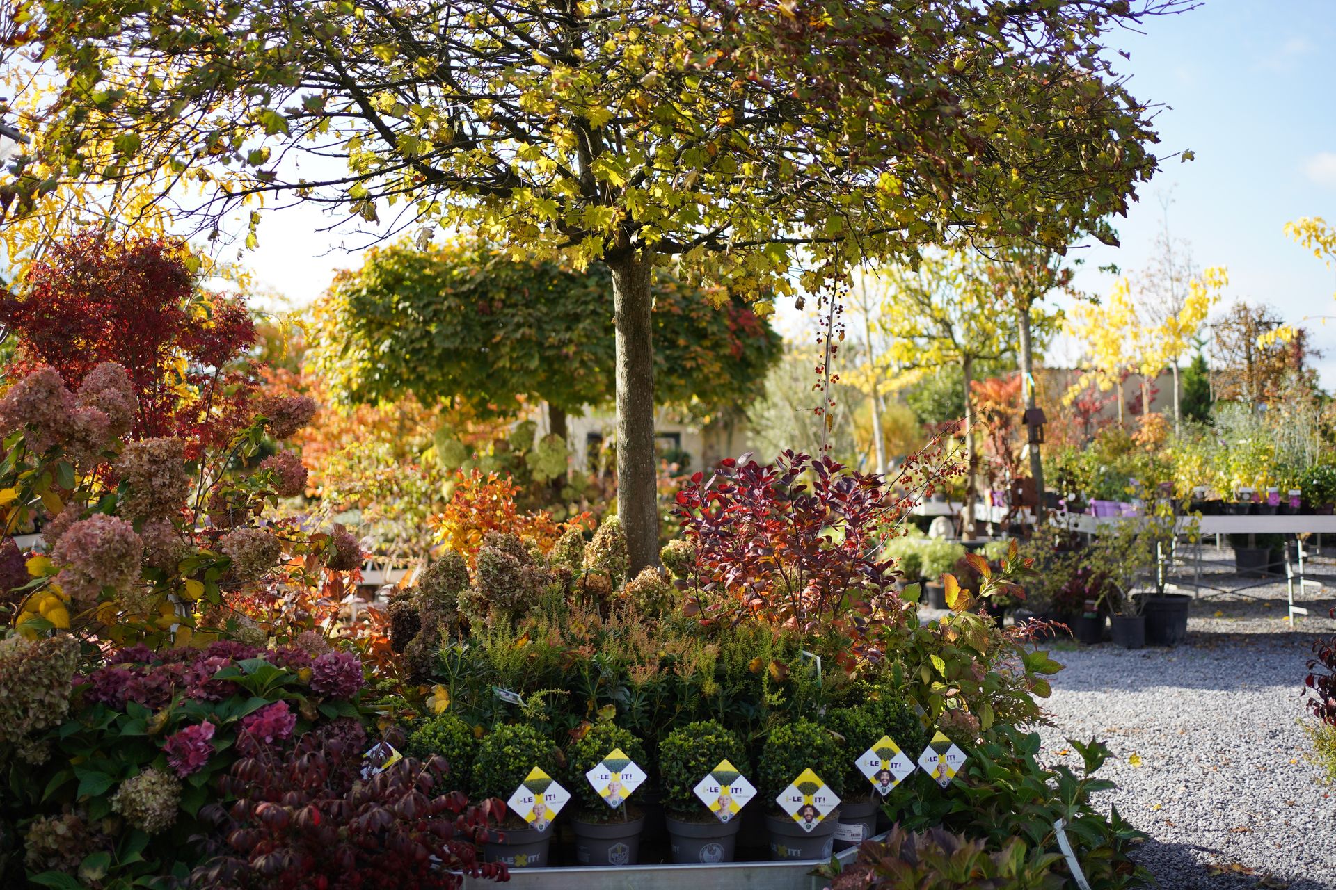 Pépinière Les Jardins Saint Michel