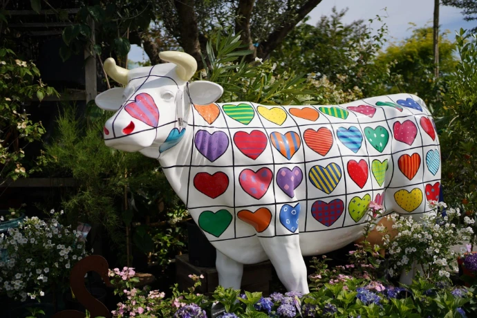 Décoration en gloss