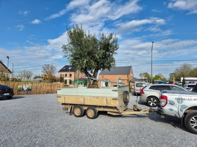 Grande pépinière Brabant Wallon
