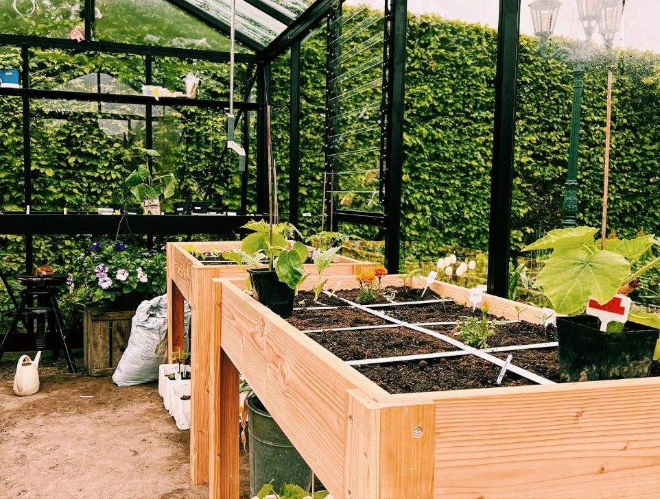 Serre de jardin avec bac potager