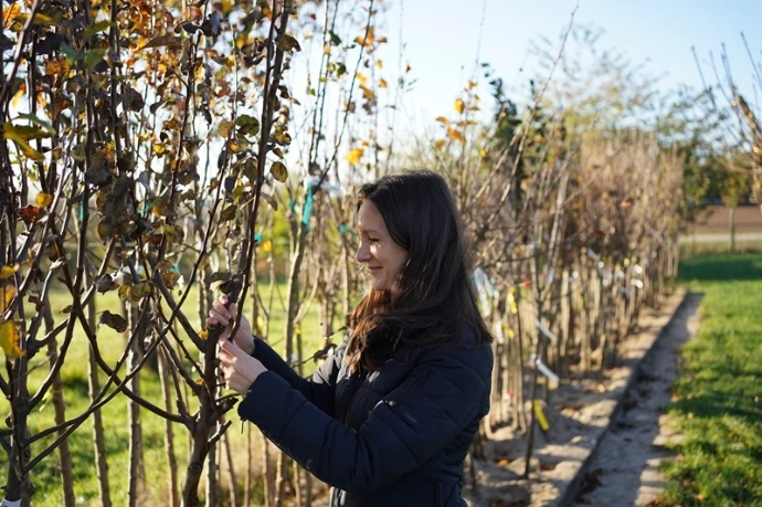 Une pépiniériste qui prépare des arbres fruitiers certifruit