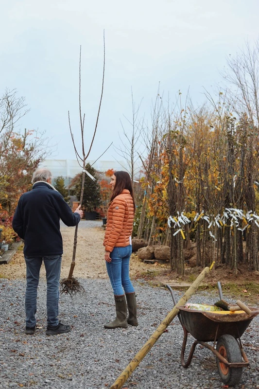 Une pépiniériste et son client avec un arbre fruitier en racines nues