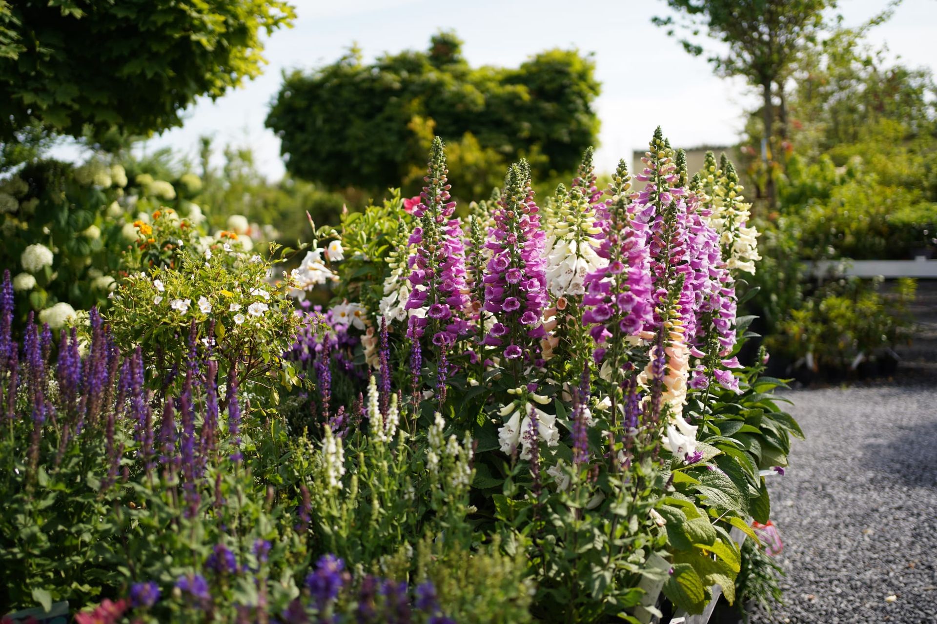 Pépinière Les Jardins Saint Michel